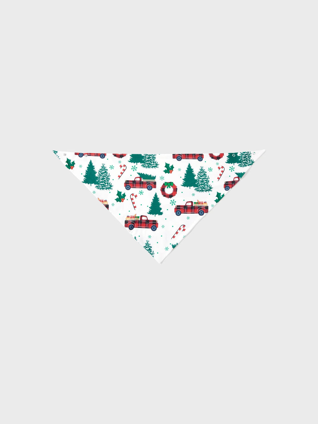 Pyjamas à manches longues assortis pour toute la famille avec imprimé sapins et voitures de Noël, et chaussettes de Noël multicolores