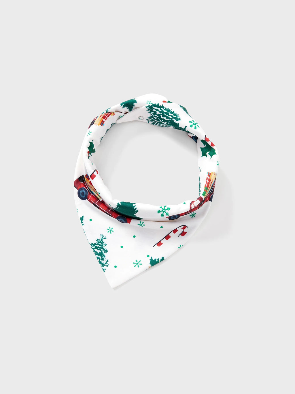 Pyjamas à manches longues assortis pour toute la famille avec imprimé sapins et voitures de Noël, et chaussettes de Noël multicolores