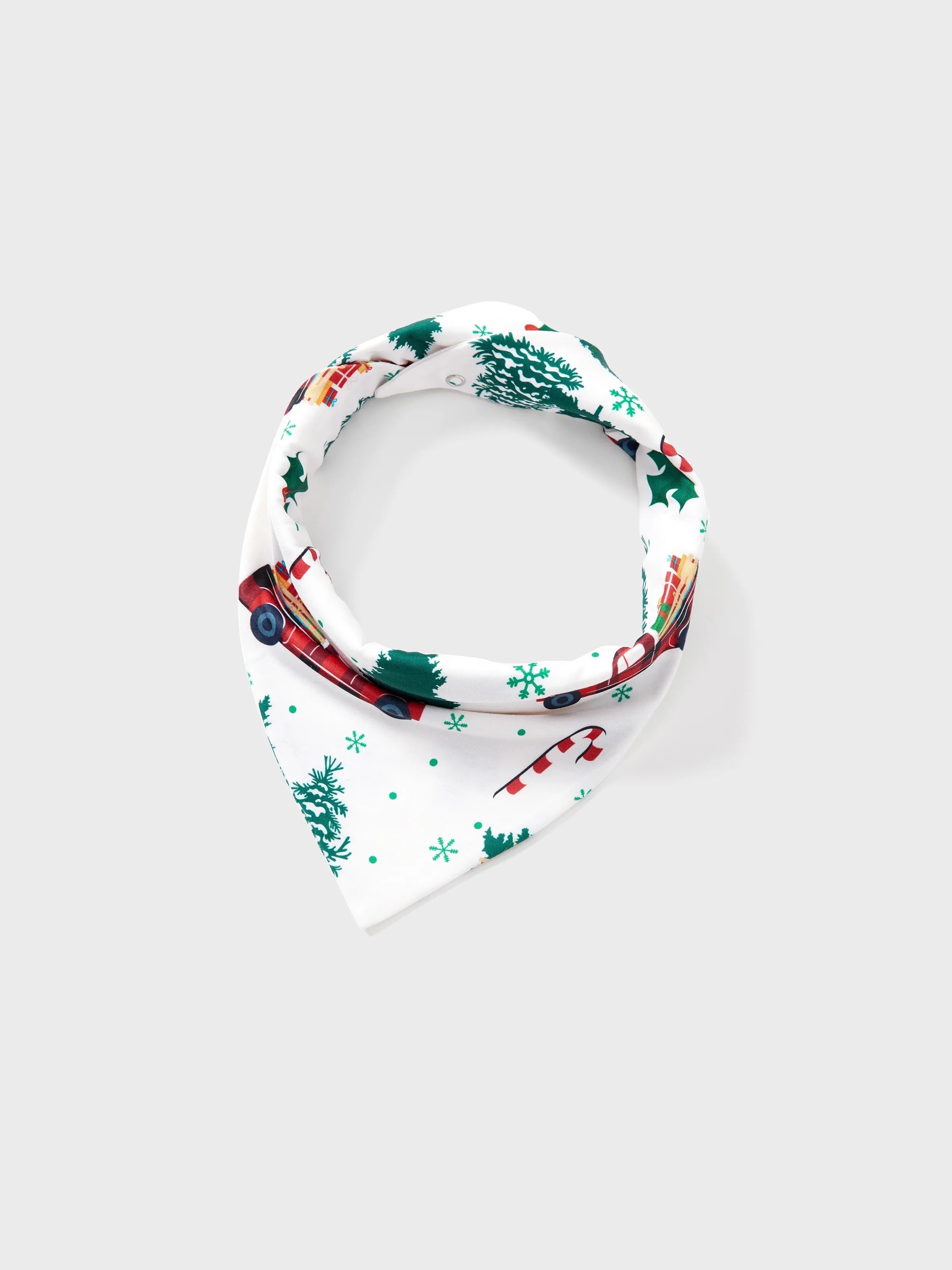 Pyjamas à manches longues assortis pour toute la famille avec imprimé sapins et voitures de Noël, et chaussettes de Noël multicolores